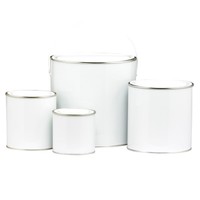 Empty Paint Tin With Lid (Various Sizes)